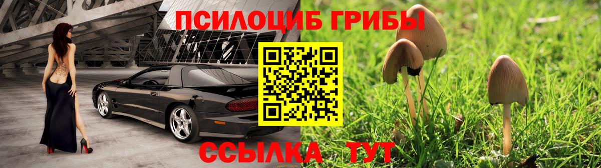 Галлюциногенные грибы Cubensis Луга